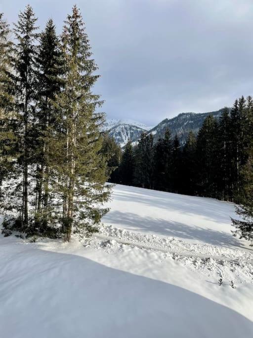 Alpenurlaub II Wohnung Mit Traumausblick Bad Mitterndorf Kültér fotó